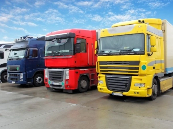 İzmir Çaykara Nakliye